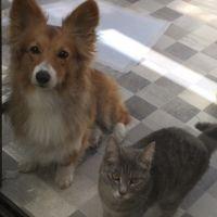 にしお 会員画像