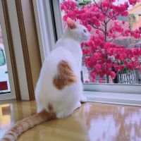 うずみちゃんさん