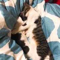 のり@ 会員画像