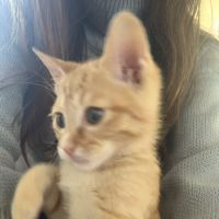 みゆなお 会員画像