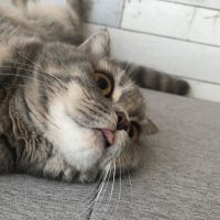 会員画像
