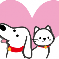 びょる 会員画像