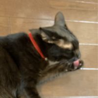 たかつき 会員画像
