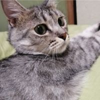 ききりんりん 会員画像