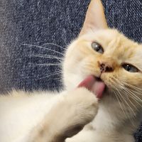 ソラソラソラ 会員画像