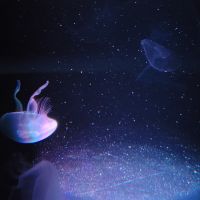 ばやせ 会員画像