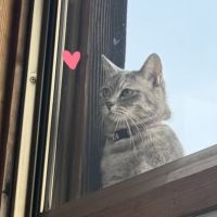 uka_さん