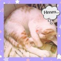 sora&coeur 会員画像