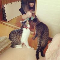 mai. 会員画像