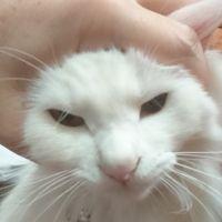 Yousayさん