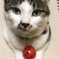 ちー。さん