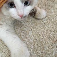 オカ 会員画像