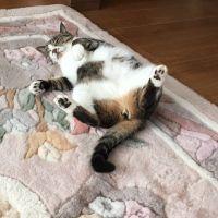 ももじ3 会員画像