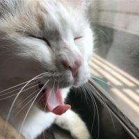 わた松 会員画像