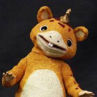 サカナリ 会員画像