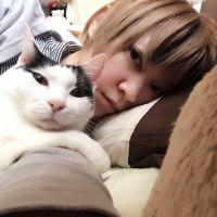 ねこさんですよ。 会員画像