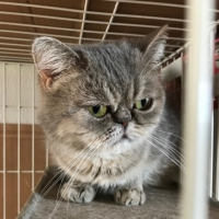 会員画像