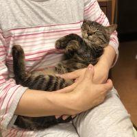 ゆかりドン 会員画像