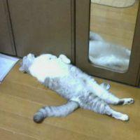 会員画像