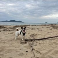 リリー512 会員画像