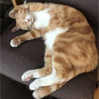 藤ヒロ 会員画像