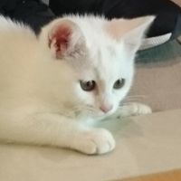 会員画像