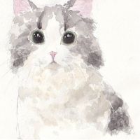 ぐみかん 会員画像