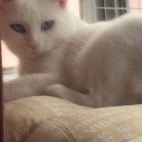 ポンド 会員画像