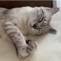 ユウミン 会員画像