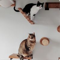 tammyさん
