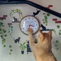 会員画像