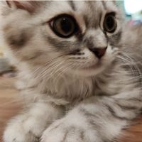 ユウコaaaさん