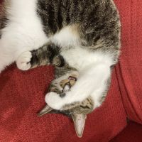 ちぃまむ 会員画像