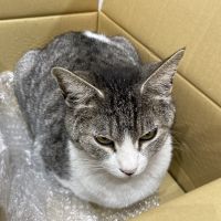 ミ二くんさん
