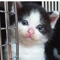 がざのあ 会員画像