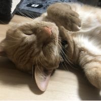 ピノ0615 会員画像