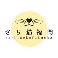 さち猫福岡譲渡会さん