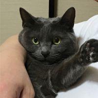 山ナッツ 会員画像