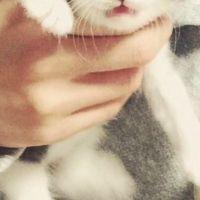 会員画像