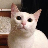 ままーまま 会員画像