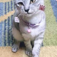 会員画像