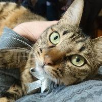 チャンナツ 会員画像