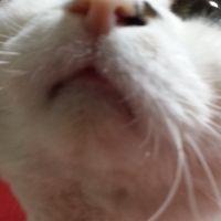 むぎみーさん
