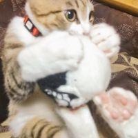 むらなか 会員画像