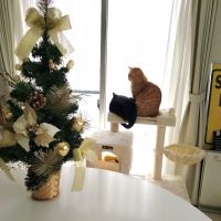 会員画像