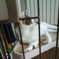 会員画像