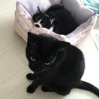 いわなが 会員画像