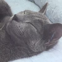 鶴さん 会員画像