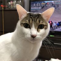 会員画像