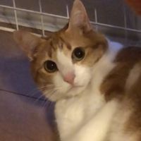 おかび 会員画像